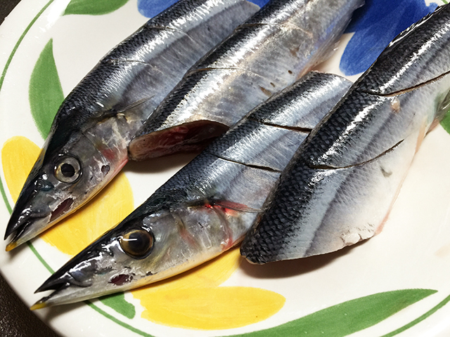 秋刀魚（サンマ）の季節がきた