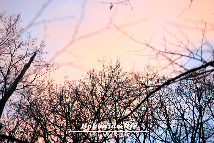 旭川市内の公園から撮影した夕焼け空