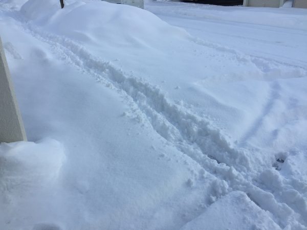  記録的大雪が落ち着いたころの歩道