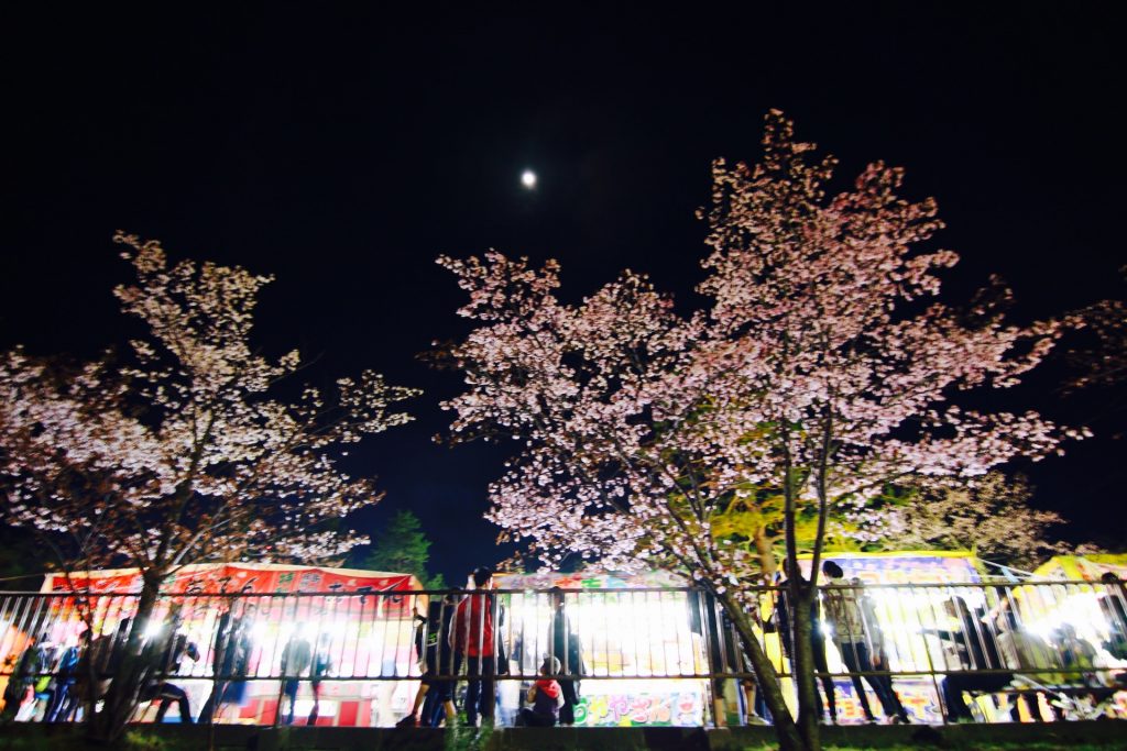 旭山公園の夜桜祭り2017