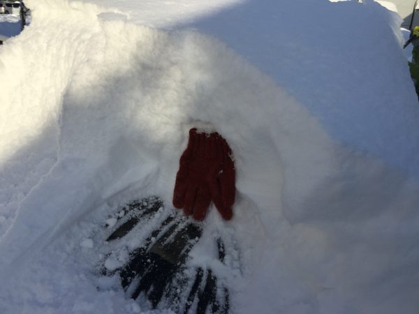 車の積雪の高さを手袋と比較