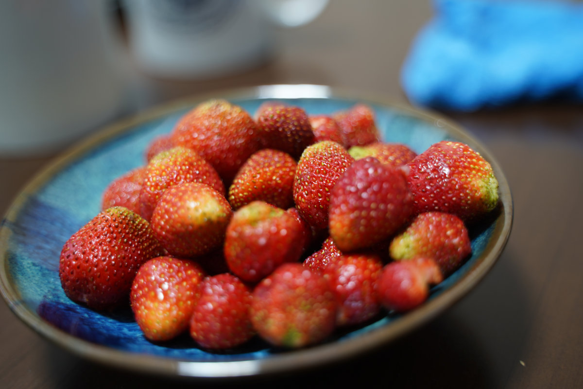 2019年6月の旭川市内の家庭菜園で収穫した苺